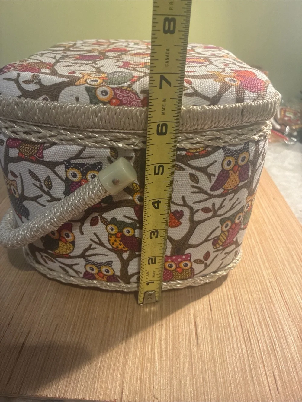Owl Print Seeing  Box in Cream and Multicolor